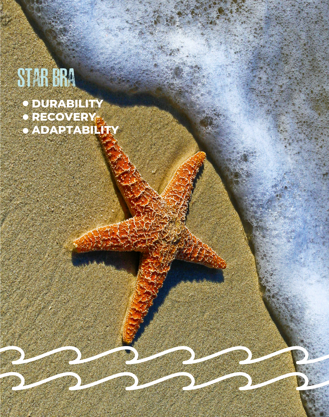 Star Top