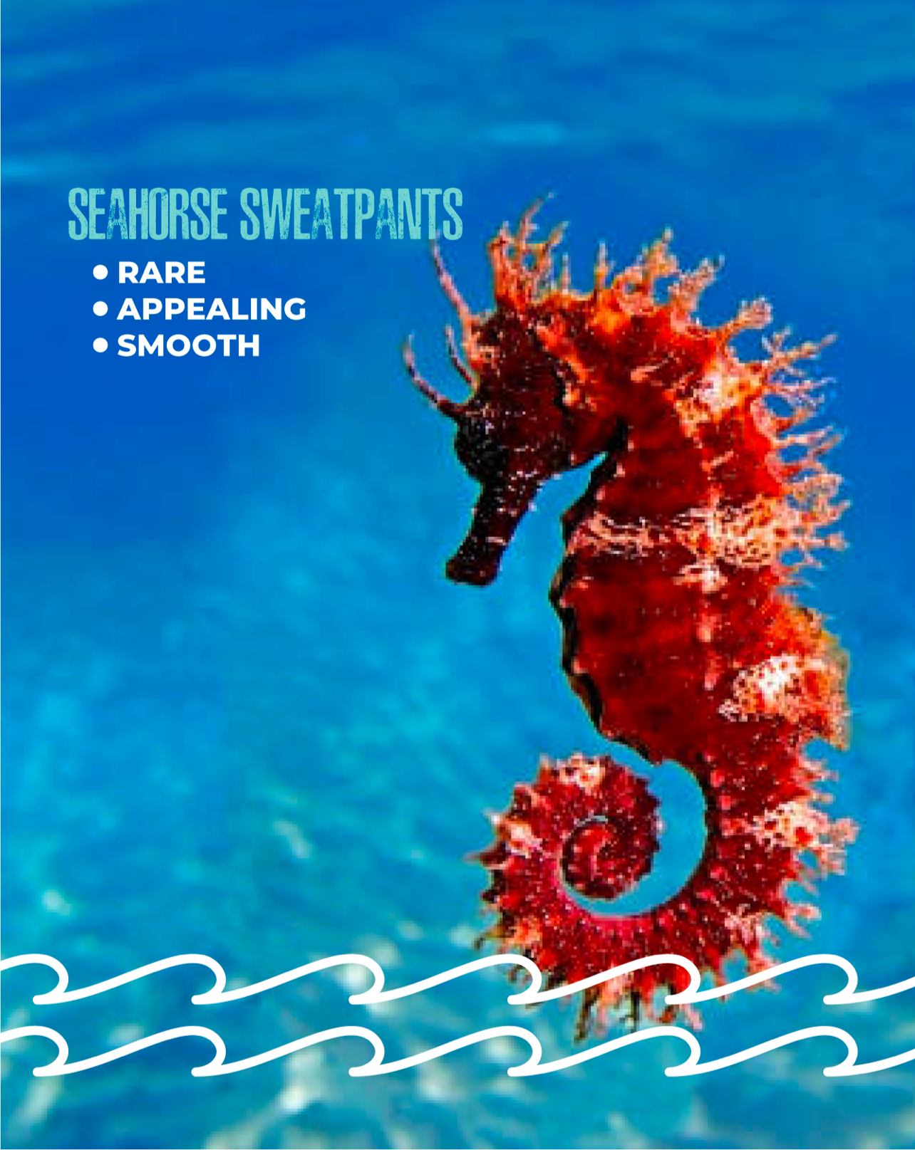 Seahorse Sweatpants