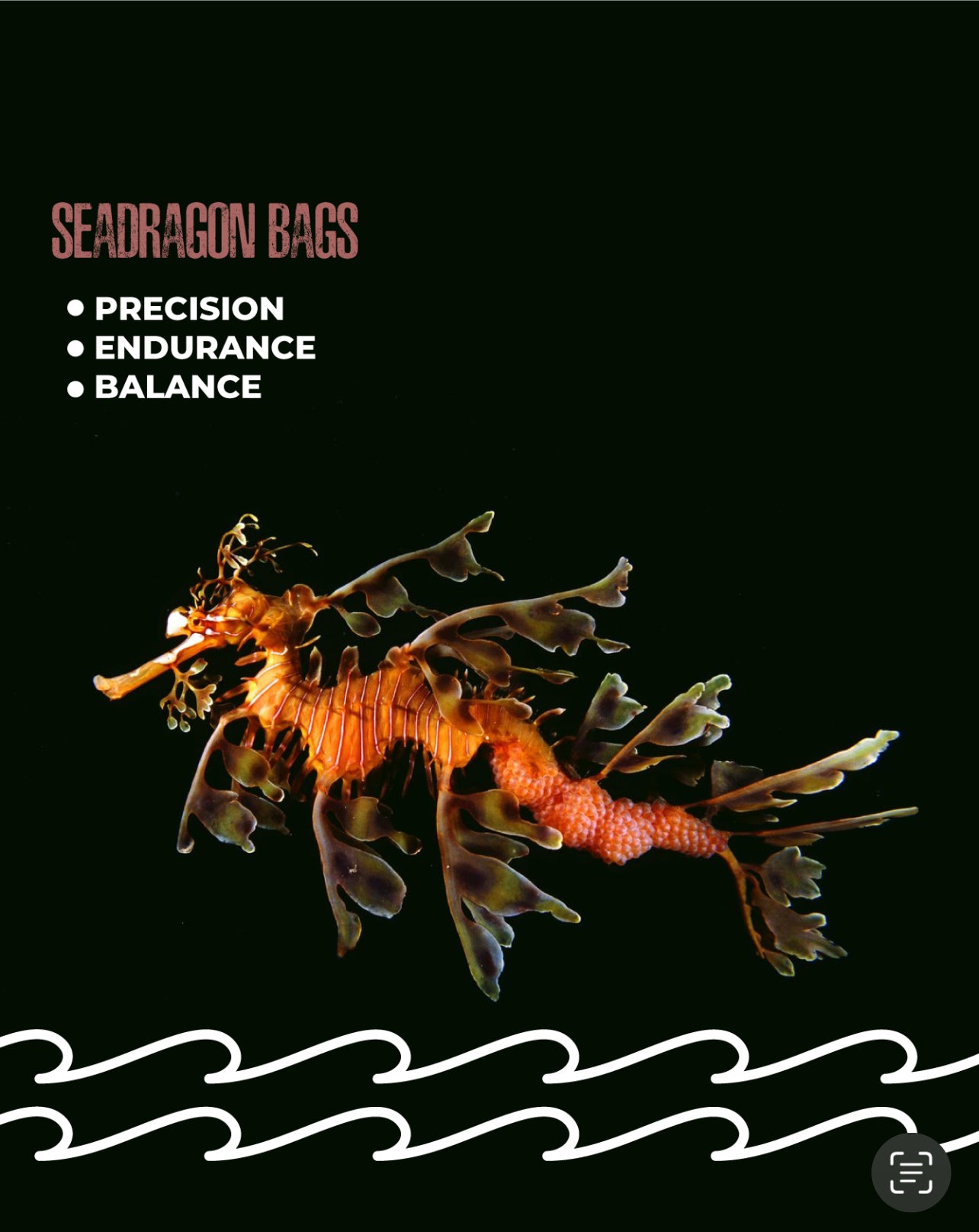 Sea Dragon Bags