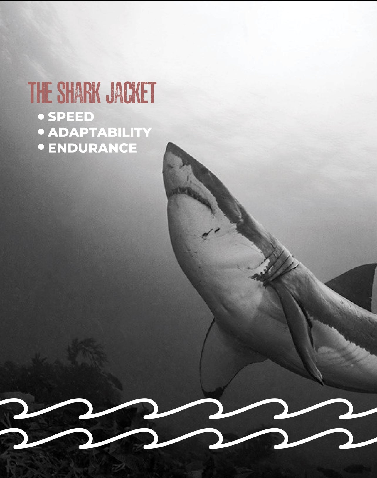 Shark Jacket